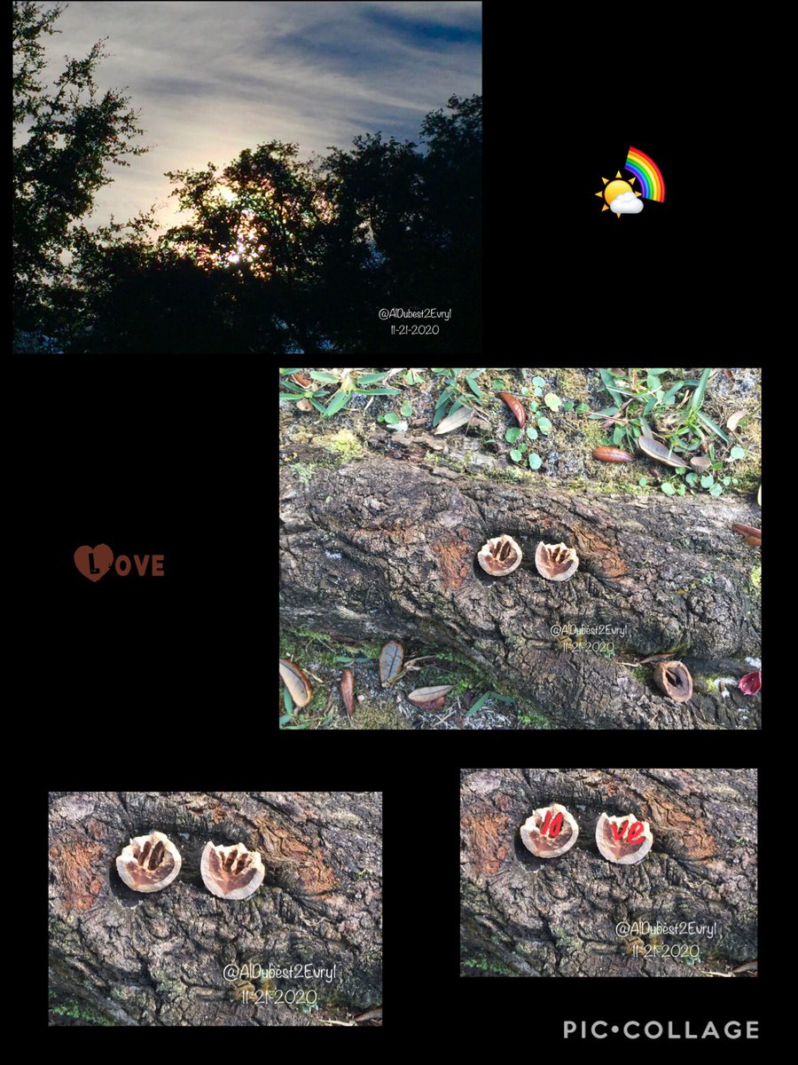 AlDubest2Evry1's tweet photo. I see letters of “love” on the pignut shell.
We don’t have a pignut tree.

Both happened 20 minutes ago.

#LoveLetters #LettersOfLove #natural #cloud #iridescence
#iridescent #pignut #LoveLetter #Godwink #Godwinks  #AnsweredPrayer #Love #YouAreLoved #KeepTheFaith 
Love Letter https://t.co/eXRL8RGTOX