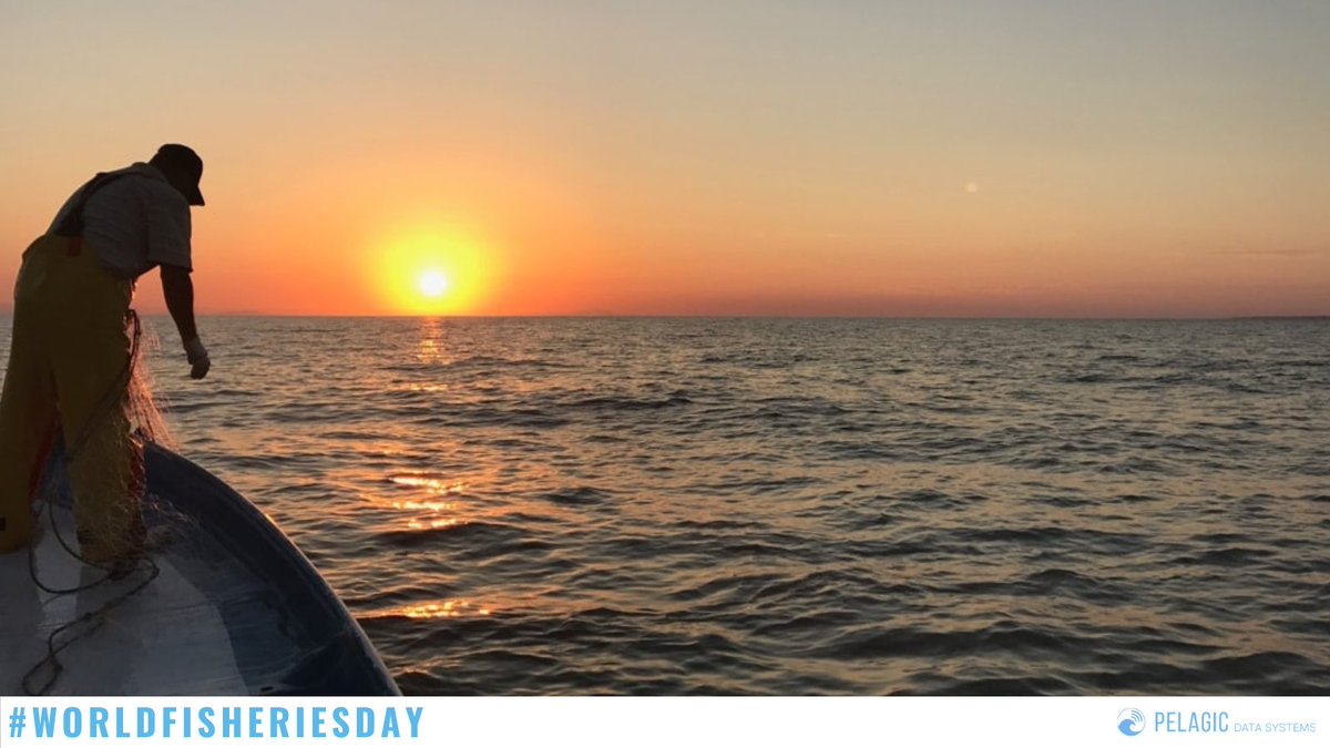 Today is #WorldFisheriesDay. Together we can continue to raise awareness of the need for a more regenerative economy for small-scale fisheries and our aquatic ecosystems around the world. <a href="/WorldFishCenter/">WorldFish</a> <a href="/WWF/">WWF</a> <a href="/NatGeo/">National Geographic</a> #ConservationalInternational #sustainability