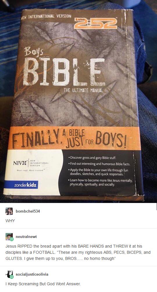 A Bible for Boys