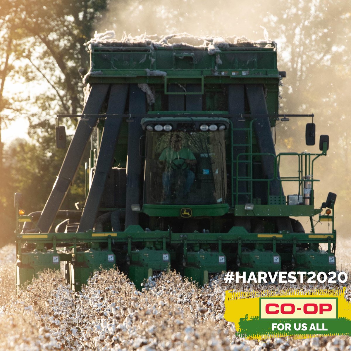 TFC_Agronomy's tweet photo. While most of are gearing up for a relaxing holiday this week, we have had dedicated farmers in the fields bringing in their last rounds of the 2020 harvest season.

We see you working, and we THANK YOU! #ShopCoop #CoopForUsAll #Harvest2020 https://t.co/0EuqkMEesh