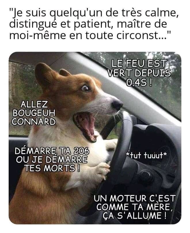 StevenTf7's tweet photo. Tout a fait moi au volant 😂😂 https://t.co/9SULlZyXEz