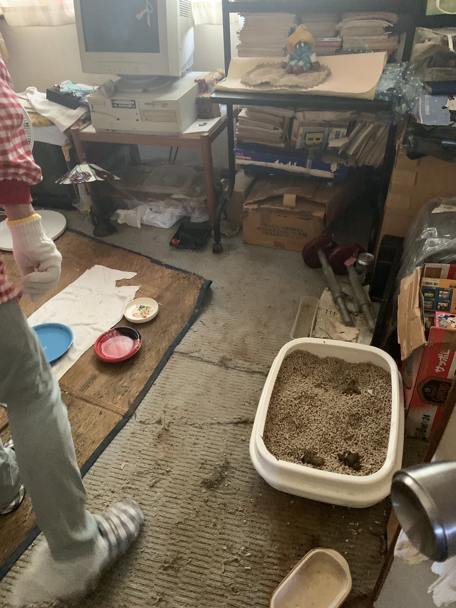 nekonettoama's tweet photo. 飼育崩壊のおばあちゃんちの猫たち。
2段ケージ
3段ケージ
冬用猫ハウス
（今は段ボールで代用）
（ケージの中に置きたい）
使用済みで構いません。
もしご寄付頂けたら
大変助かります！

neko8aigo@yahoo.co.jpまで。 https://t.co/ldPQrGYaSG