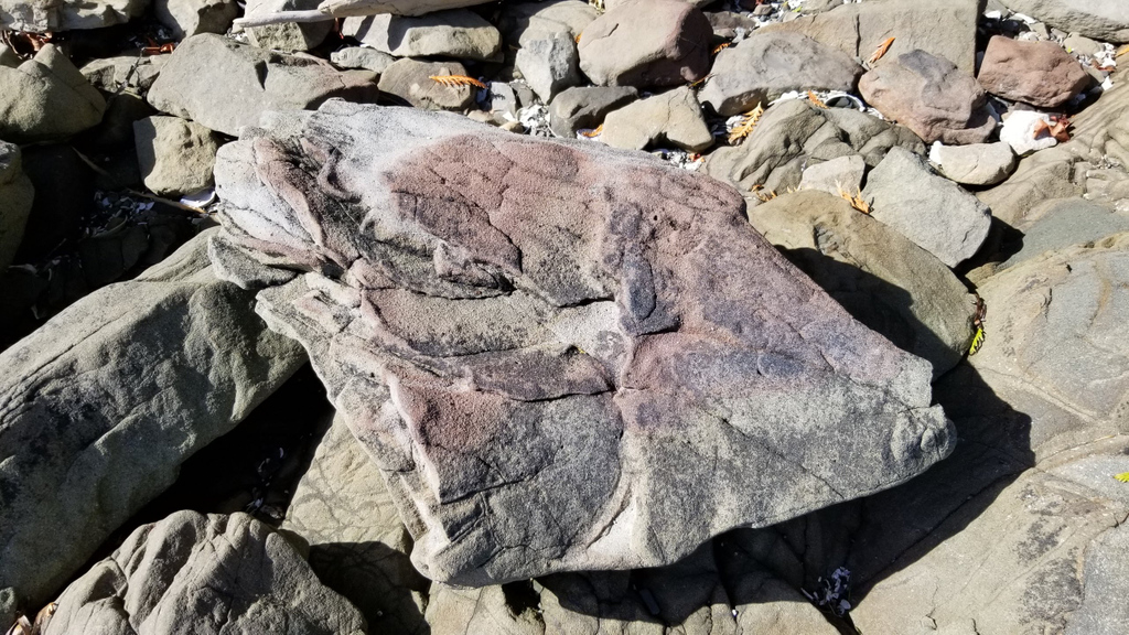 ThisIsPlanetRth's tweet photo. It's sedimentary, my dear Watson!
#SaturdayRocks features one of the three primary classes of rock. Can you name the other two?

#getoutside #explore #geology #geocaching #EarthCache #ThisIsPlanetEarth #PlanetEarth #GoGeocaching https://t.co/EGE1WgBWaD