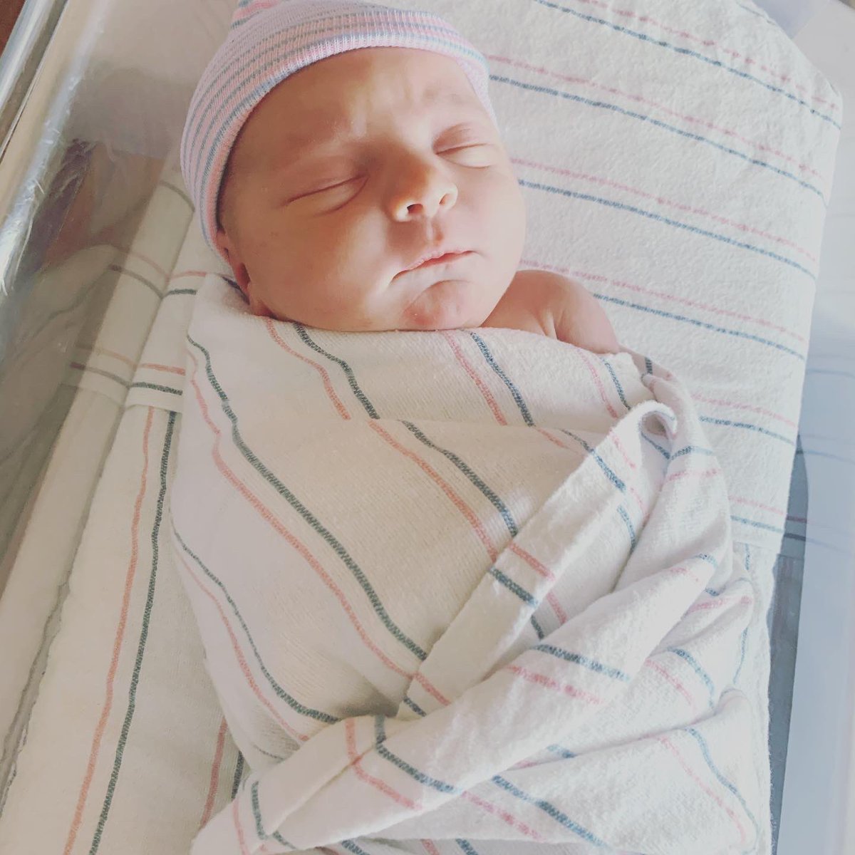 Meredith McCombs tweet media