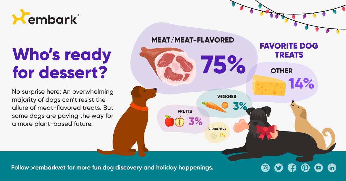 embarkvet's tweet photo. An overwhelming majority of dogs can’t resist the allure of meat-flavored treats. But some dogs are paving the way for a more plant-based future. Does your dog like plant-based treats? 🌱 Learn more here: https://t.co/bKhMJyCJqX

#Dogsgiving #EmbarkVet #EmbarkWithUs https://t.co/6QOSaOVpld
