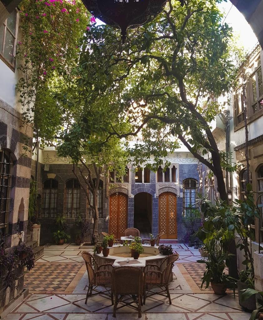 🍃

Aya Al-Azm📸