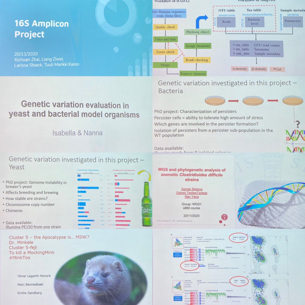 EgleKud's tweet image. During the 2nd week of #PhDcourse #bioinformaticsformicrobiology students analyzed their own data. It is very rewarding to see them able to apply and understand the methods and tools they have learnt. These were first steps for many of them but I am sure from here they will fly!