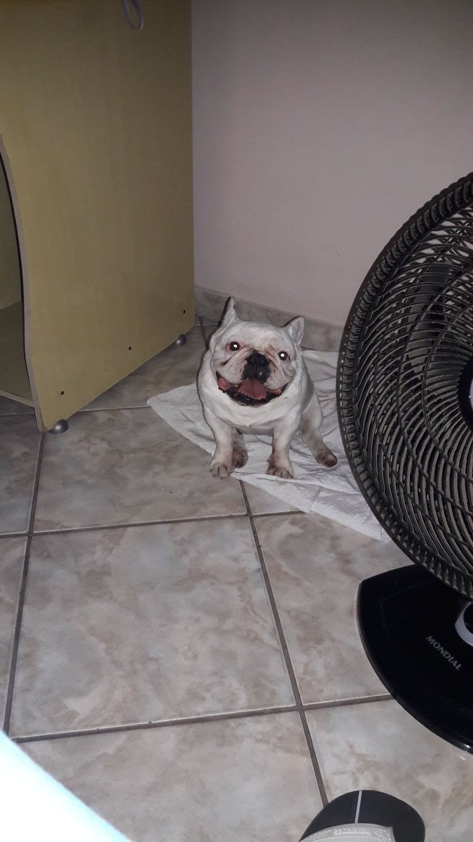 danieldelvard's tweet image. ?