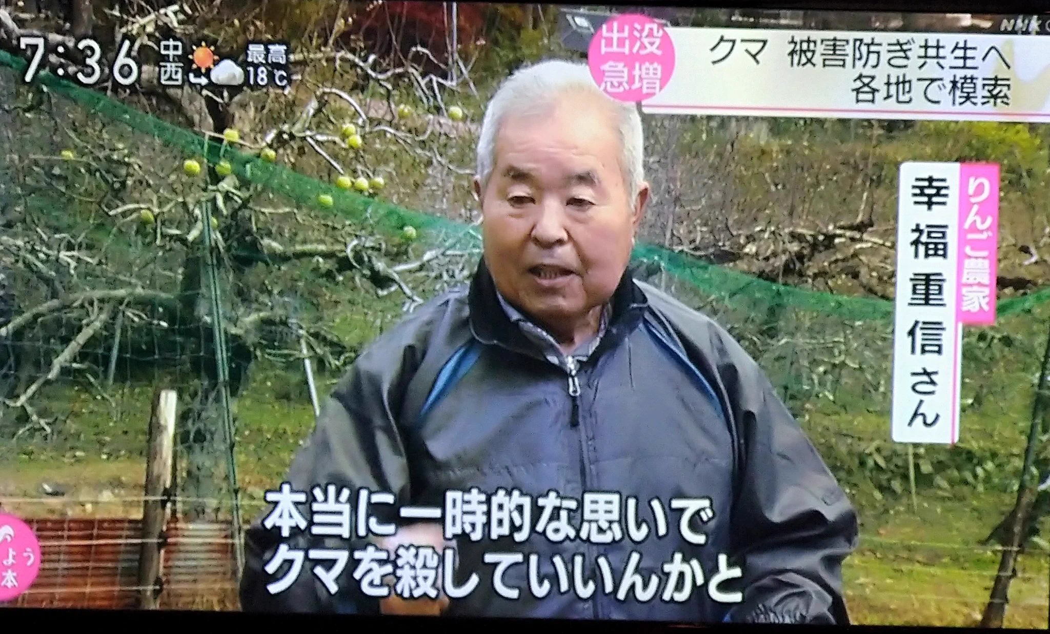 クマは果物よりもどんぐりを好む？一時的な思いでクマを殺してはならない
