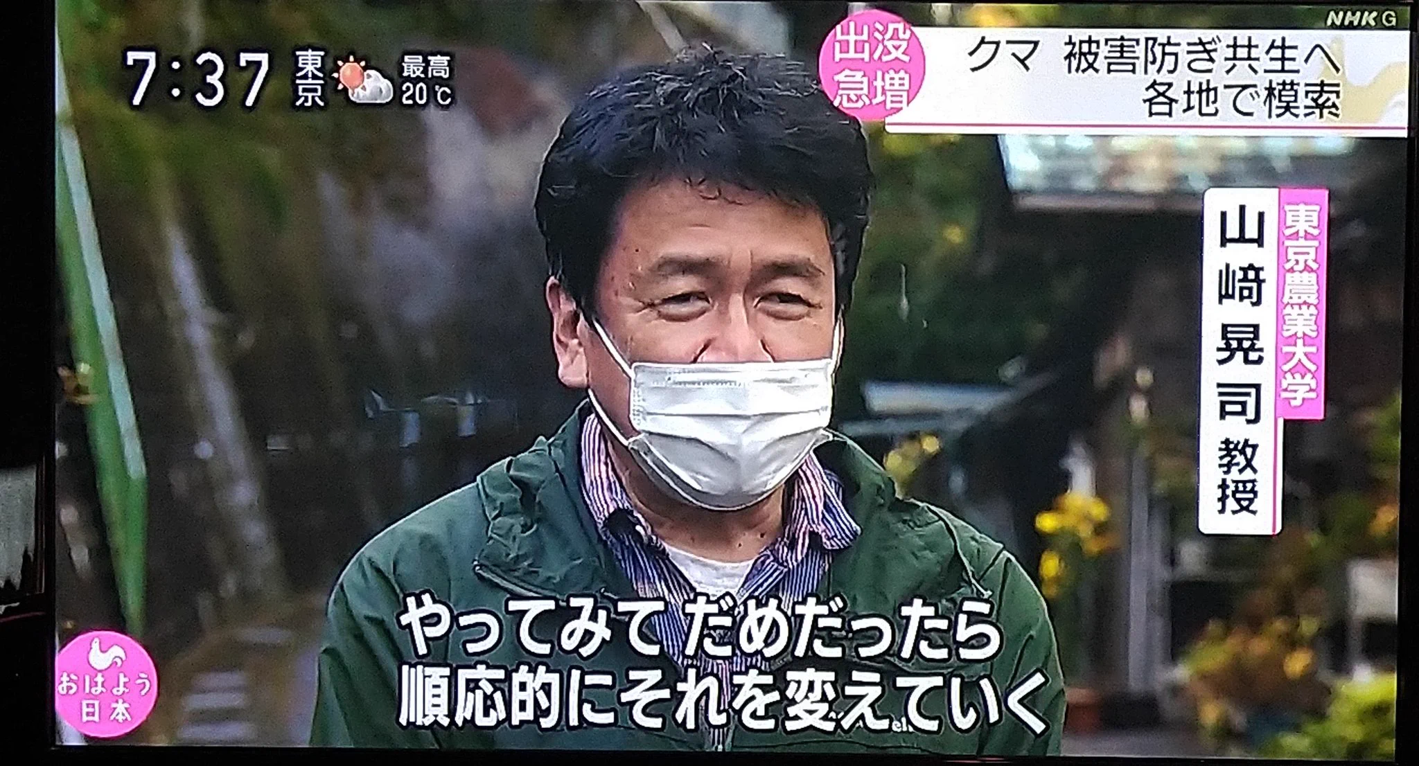 クマは果物よりもどんぐりを好む？一時的な思いでクマを殺してはならない