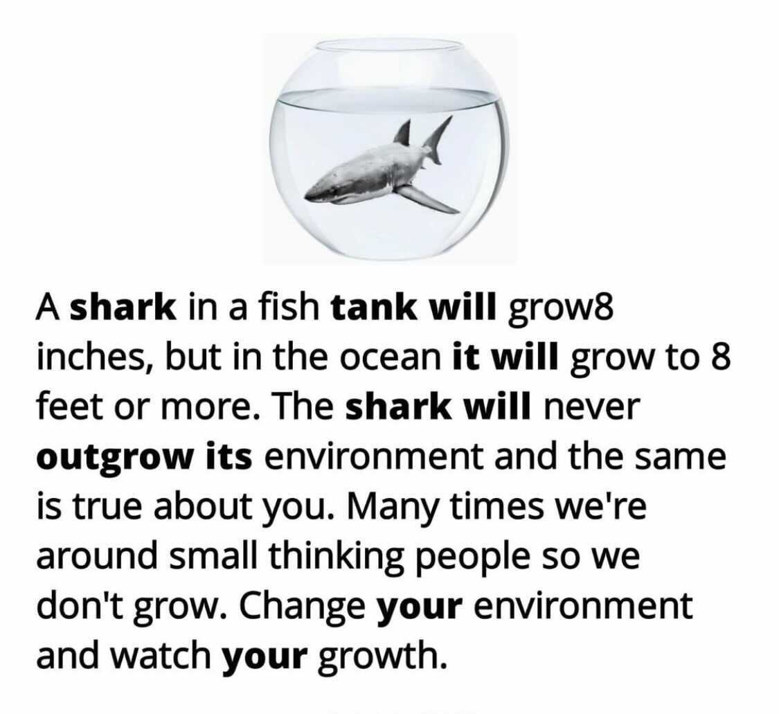 valuetainment's tweet photo. What environment are you in? Comment below 👇 https://t.co/waqqh79Vhb