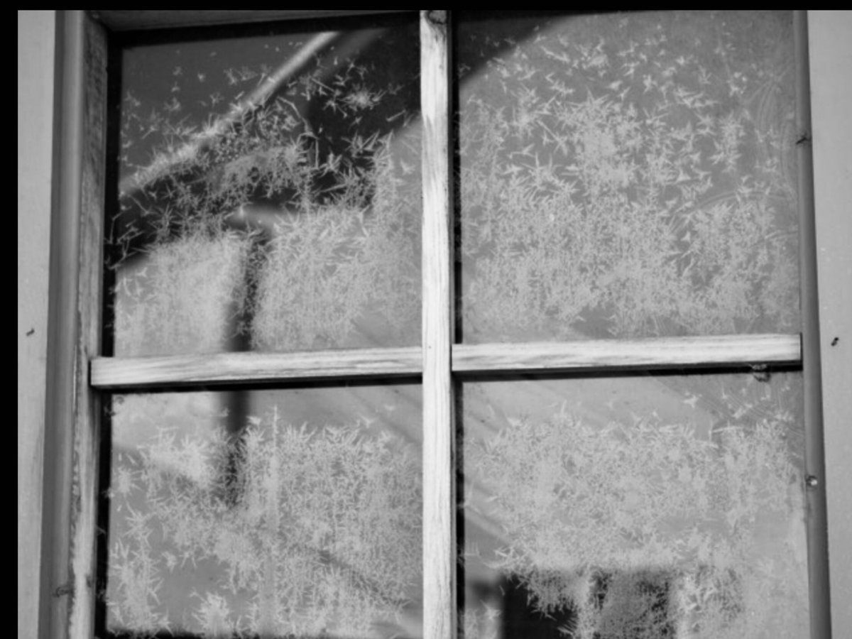 messca's tweet photo. WINDOW PHOTOS ... #wintersmagic https://t.co/zP7MD8WzYU