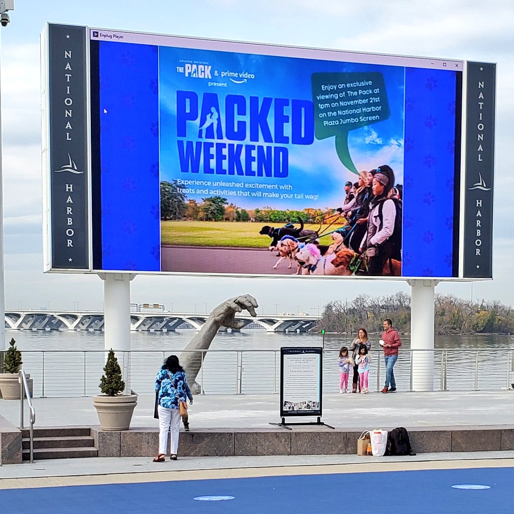 thegaytraveler's tweet photo. From a bath at #TheMuddyMutt to a screening of @PrimeVideo's #ThePack at @NationalHarbor, Princess & I had great fun partaking in today's #PACKEDWEEKEND activities. Tomorrow, you can catch us at @TheWharfDC.
https://t.co/aU84bNzuo5.
#dogsofdc #dcdogs https://t.co/DPm9uWp20Q