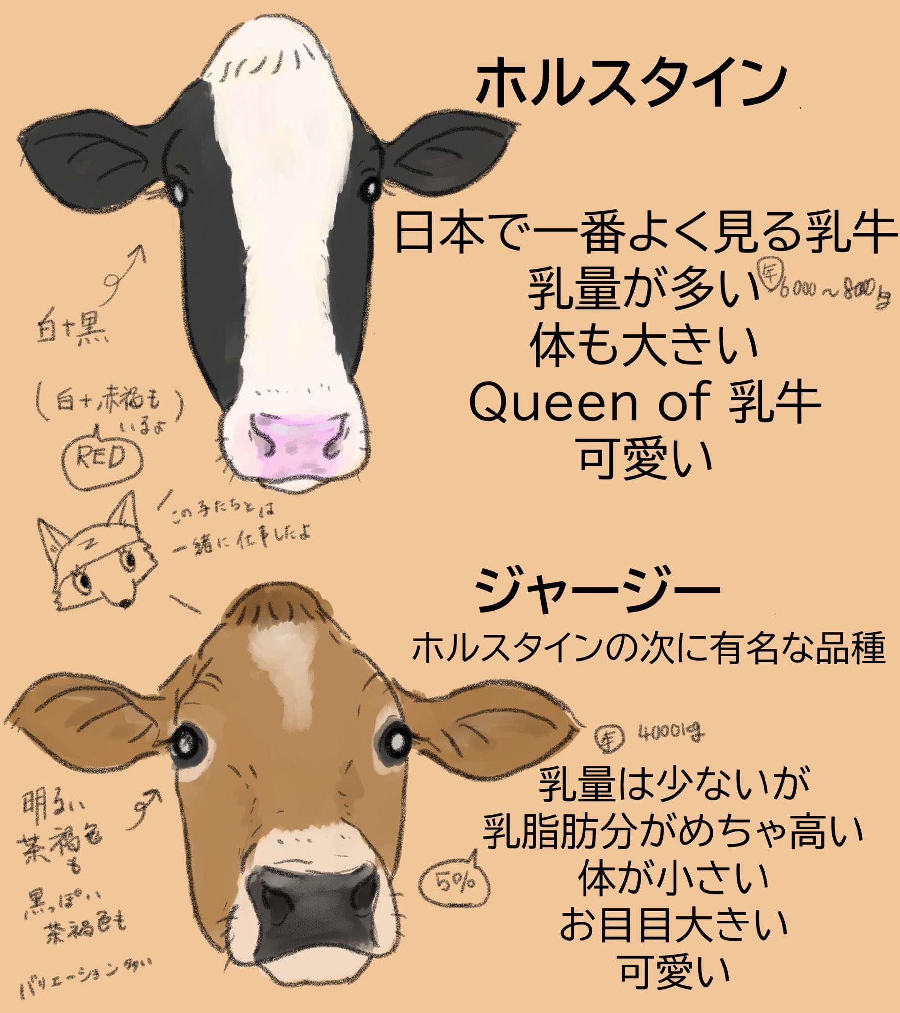 تويتر 繭 小山田 على تويتر Askaichigomow 5大可愛い