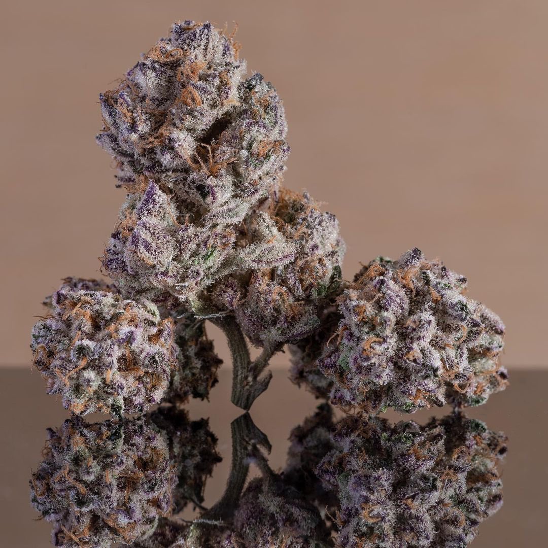 revistaTHC's tweet image. COGOLLOS PERLA 💎✨🌿
💍 Las flores de cannabis pueden ser verdaderas joyas. No sólo por lo que pueden brindarnos al probarlas, sino también por lo hermosas que pueden ser.
📸 El trabajo del fotógrafo DANKFORD es un acto de adoración.
🌈 Un paisaje lleno de formas y colores.