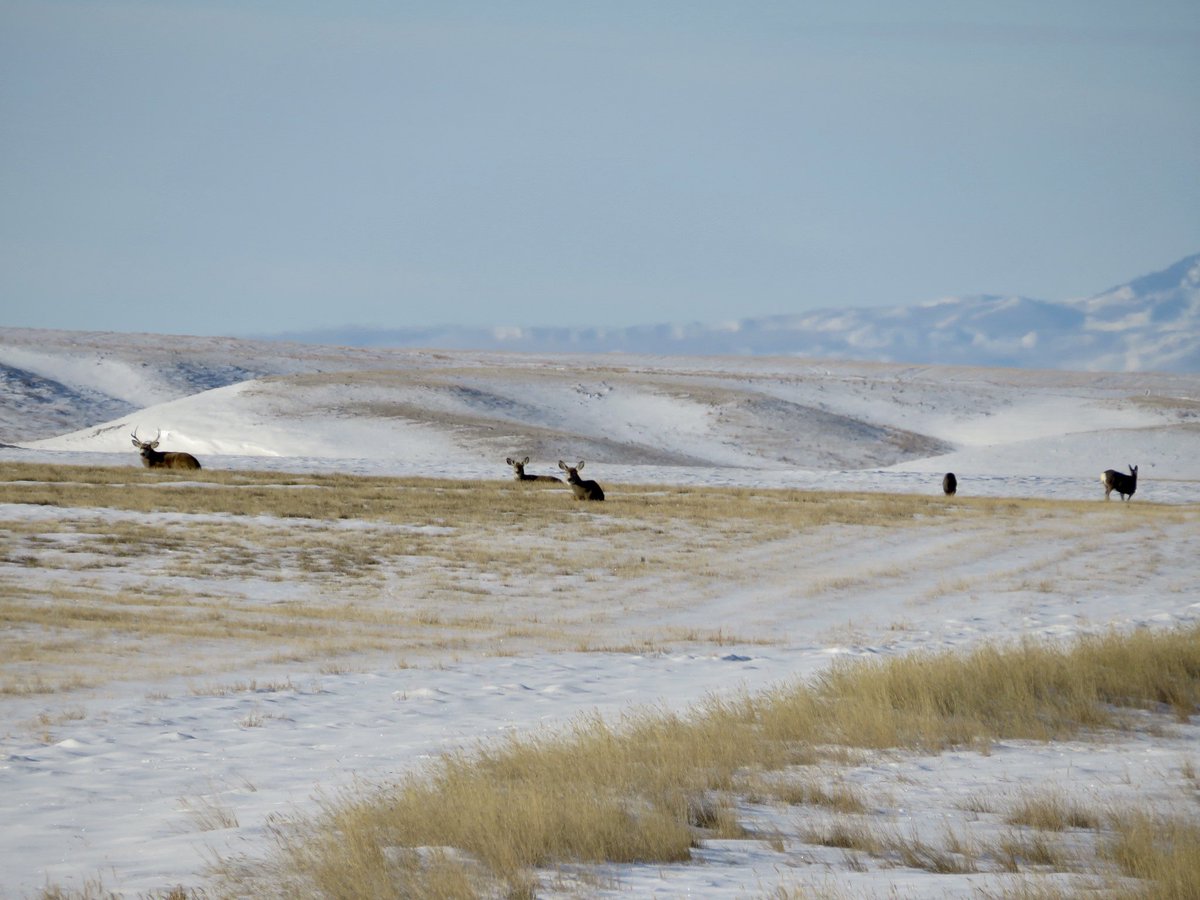 Travis Gatzemeier, CFP® tweet media