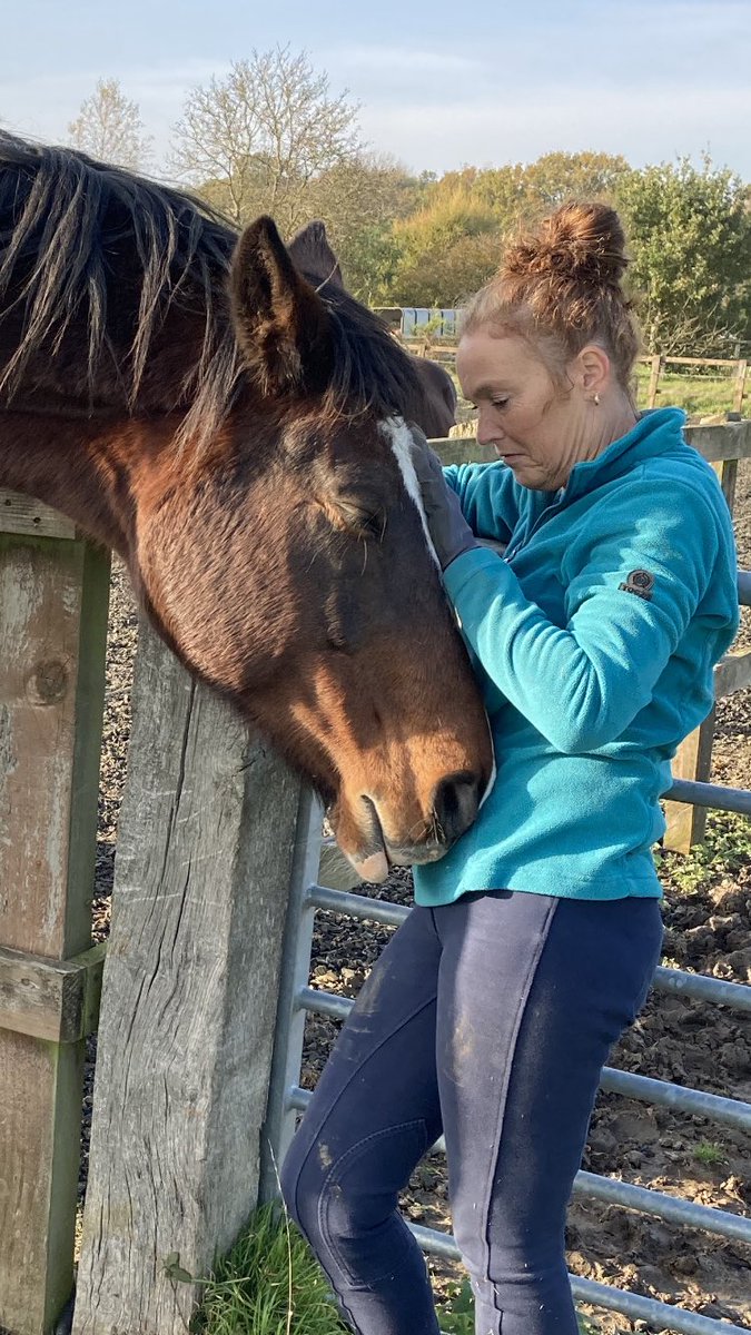 Skinny enjoying a therapeutic head massage from volunteer Sharon. The healing power of horses is amazing. Sharon loved giving Skinny one to one time. Lovely healing energy shown here. #Horses #Healing #AnimalsAsTherapy #rescue #CareFarm
