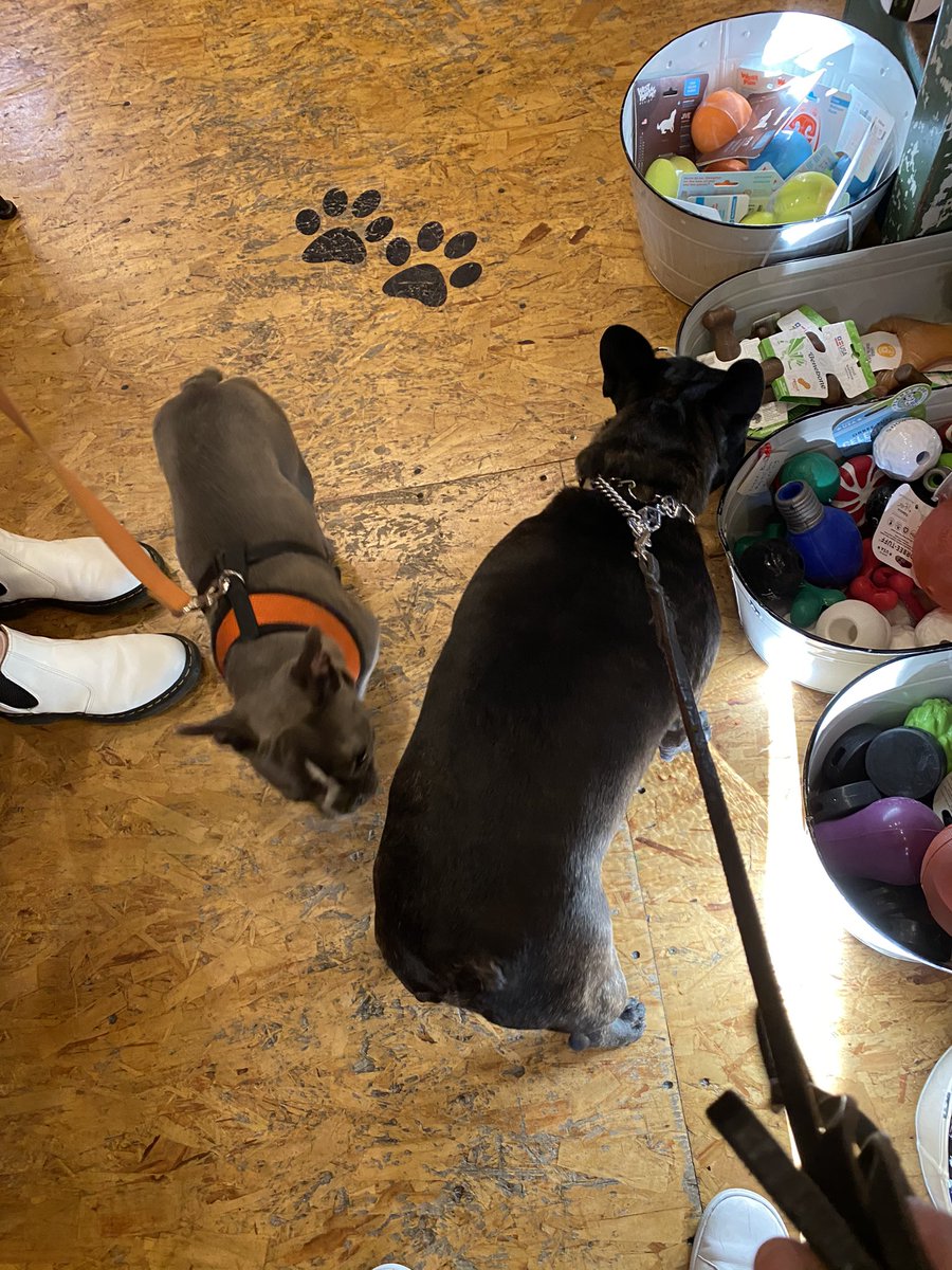 Paul Mabray tweet media