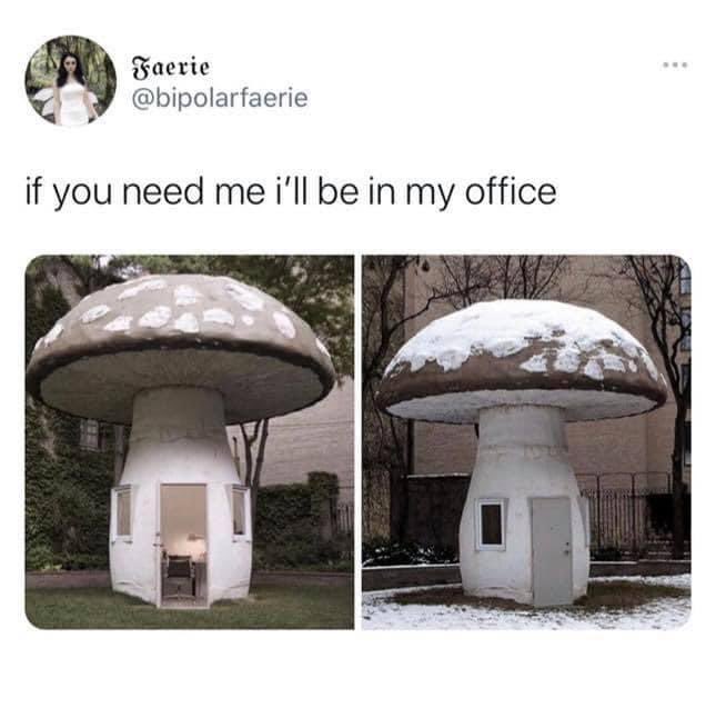The most <a href="/RawBeautyKristi/">RawBeautyKristi</a> meme ❤️🍄