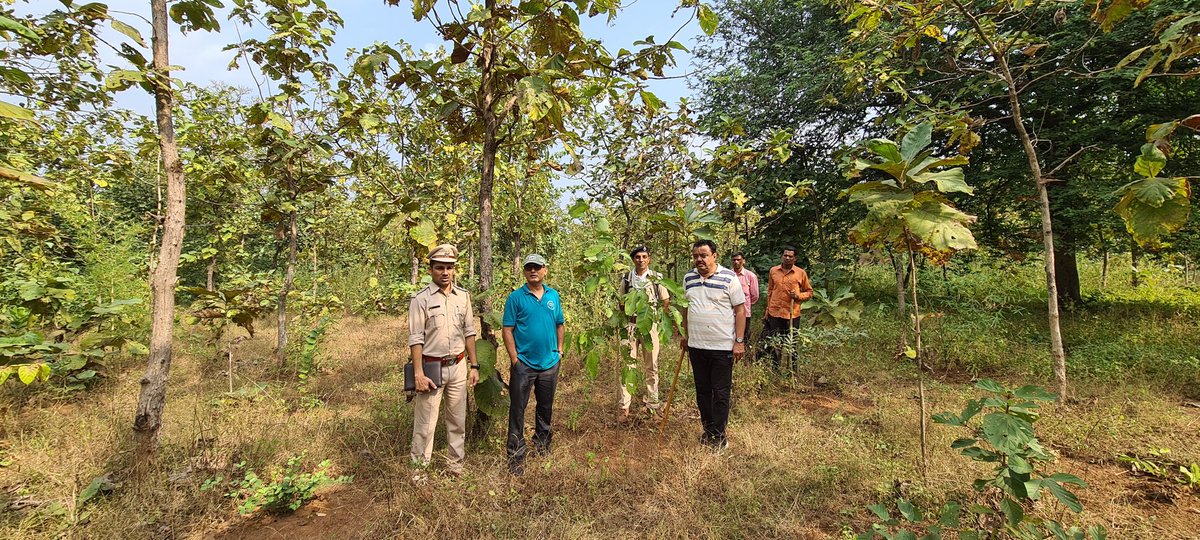 Surat Forest Circle tweet media