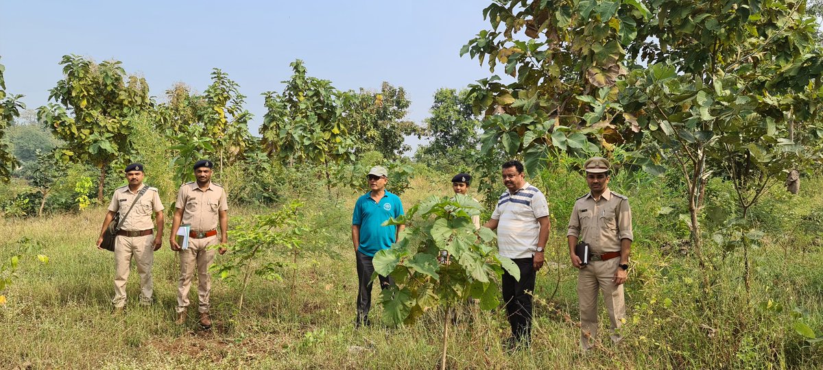 Surat Forest Circle tweet media