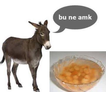 destiellian's tweet photo. her daim bu dörtlüyü gördüğüm yerde MANYAK GİBİ gülecem bundan utanacaklar beni arkadaşlıktan çıkarabilir https://t.co/j6E7E839Rg