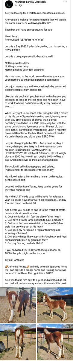 bluntequestrian's tweet photo. JERRY I LOVE YOU https://t.co/zjttdbgDeO