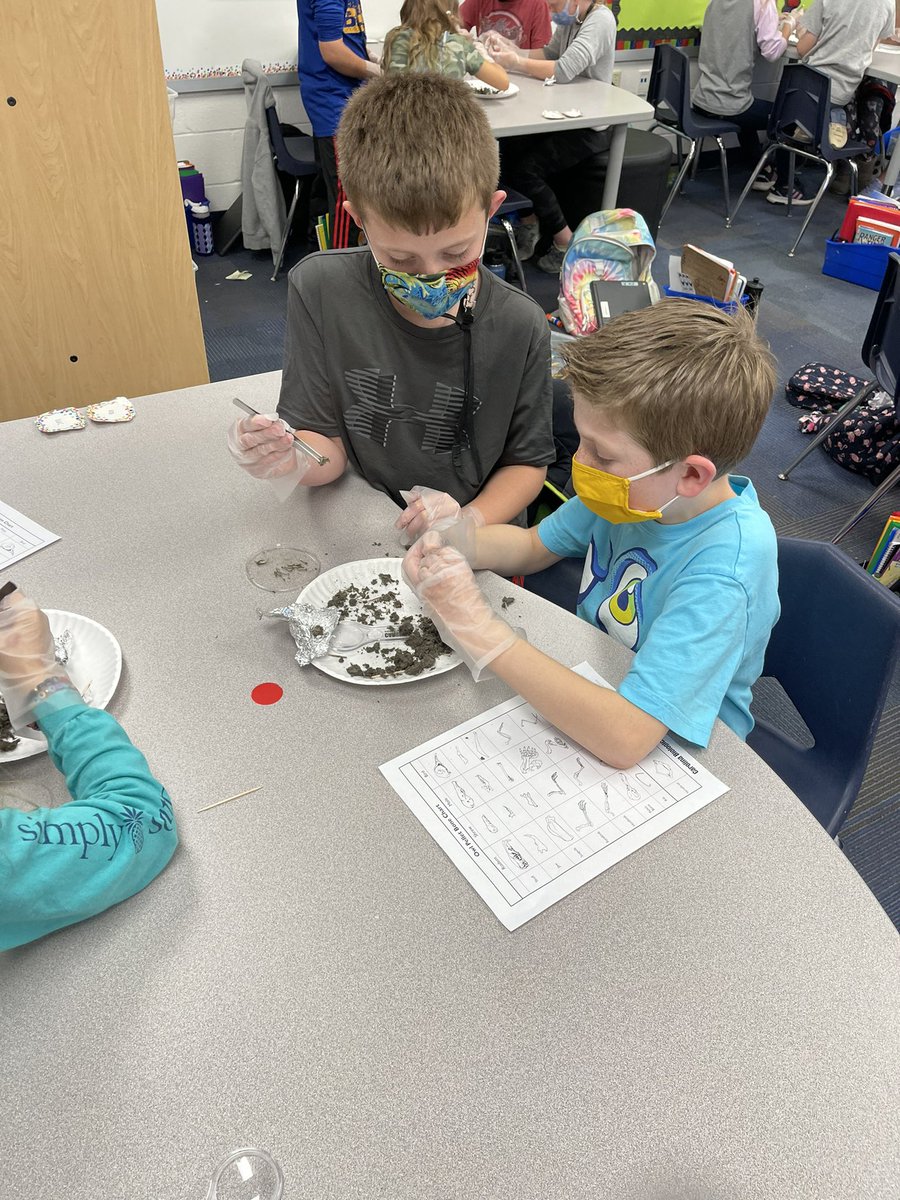 GeggieElemAP's tweet photo. Fantastic Friday vibes! It was so wonderful to see and hear the excitement as Mrs. Lee’s 3rd graders dissected owl pellet. #GeggieLearns #WeAreGeggie https://t.co/VP0bLh0GpC