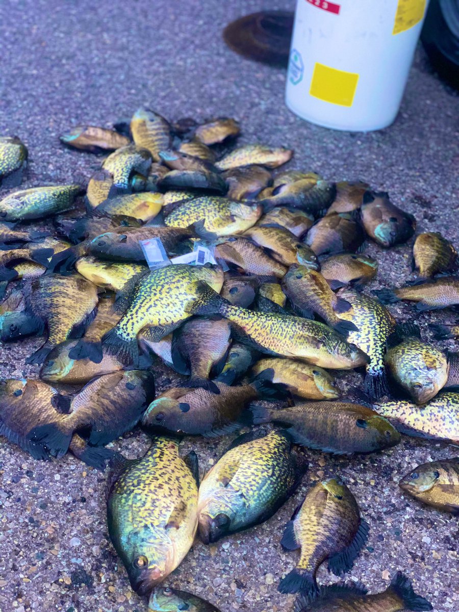 CoachR_Brooks1's tweet photo. The world is shut down. Not the lake 🎣 #GoFishing #CaptainRyan⚓️ https://t.co/56nxgzZ2au