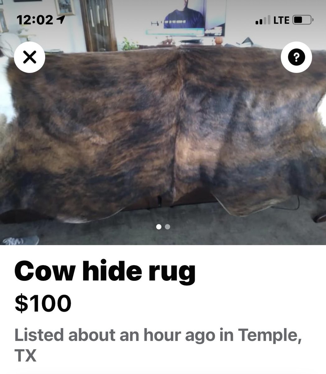 goodgrammartime's tweet image. Woman still see rug.   #grammartime #stopgrammartime #grammar