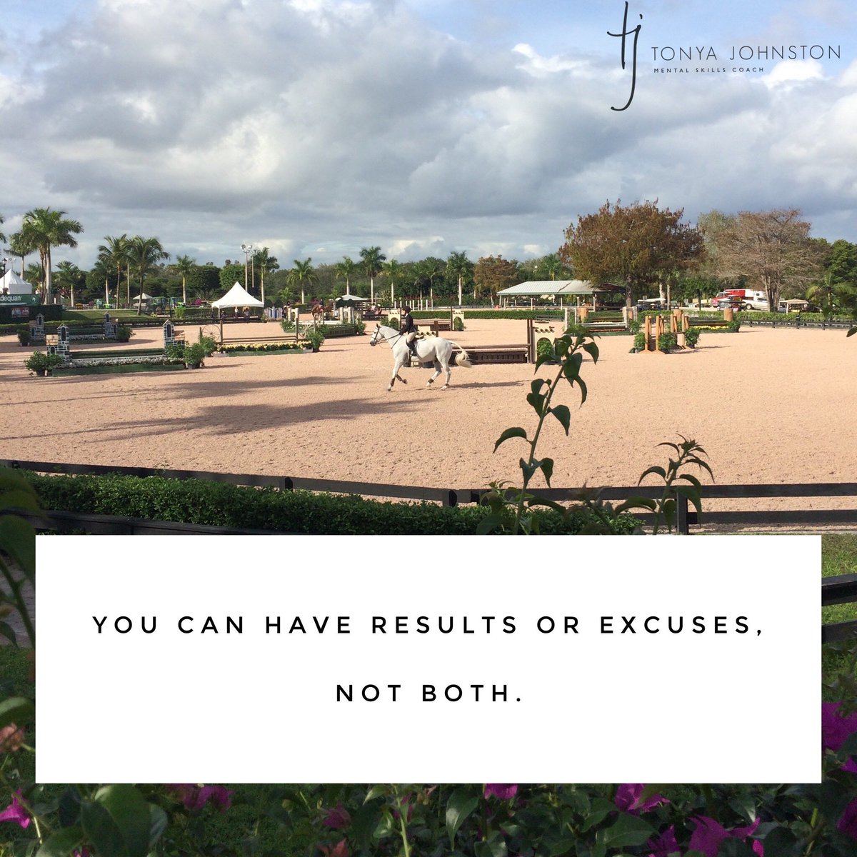 tonya_johnston's tweet photo. You can have results or excuses ~ not both. ✨🌟✨ https://t.co/wfBcz44SE3