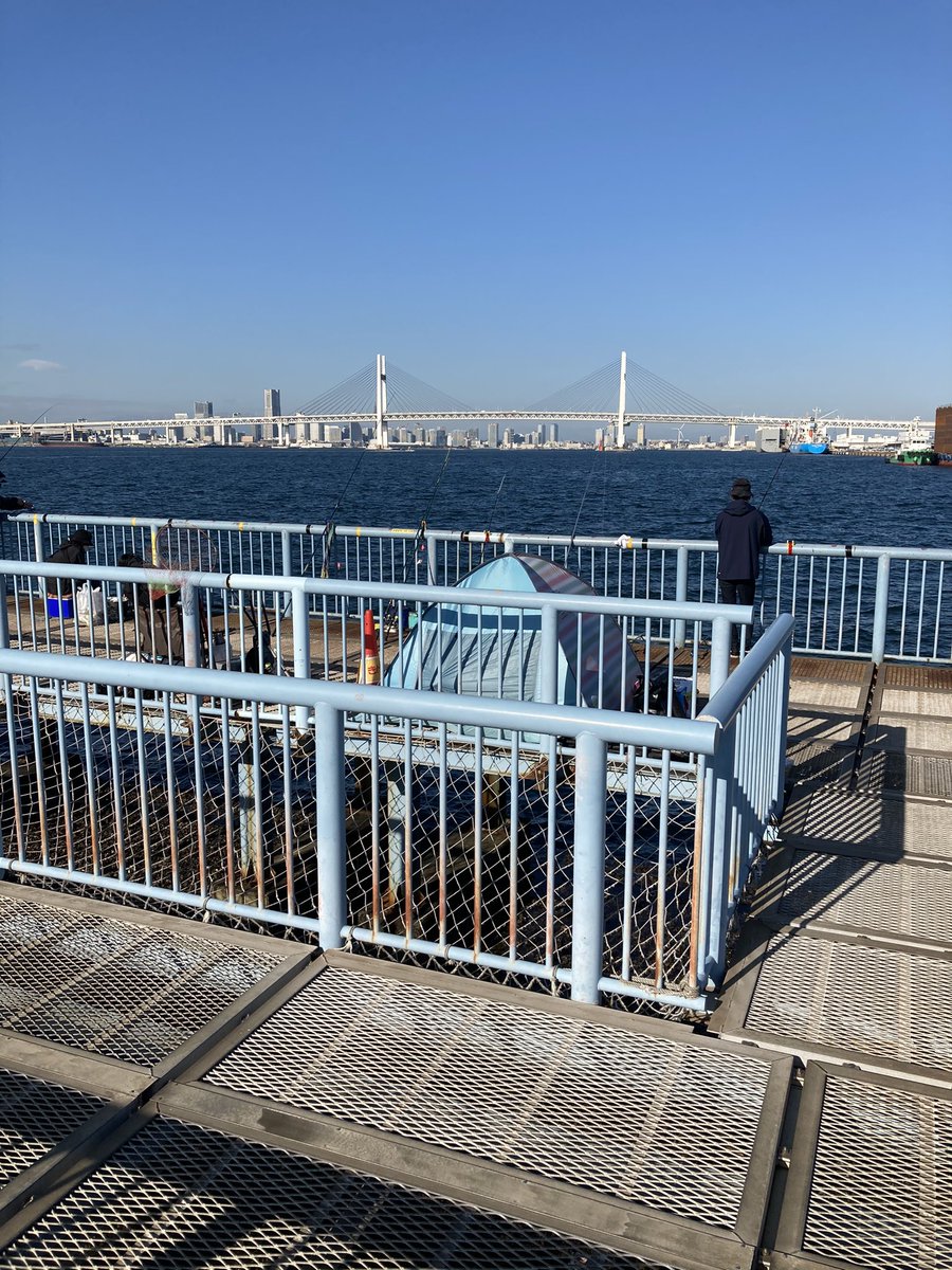 海 釣り 大黒