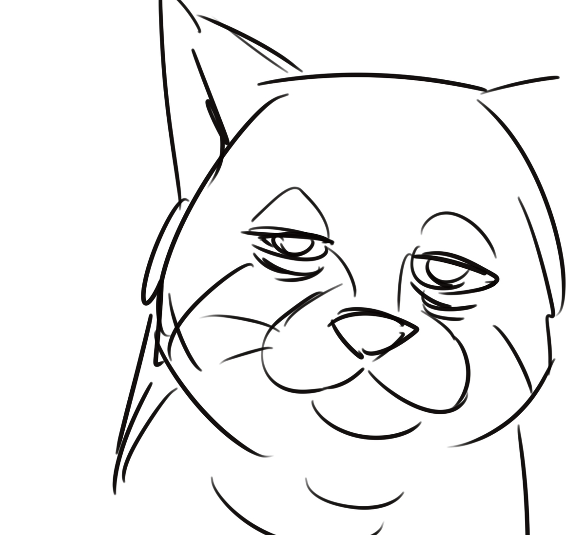 @lildefvert your dog <3 