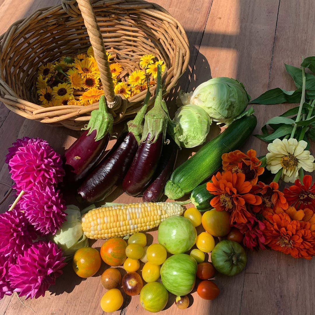 sowvital (@sowvital) on Twitter photo 