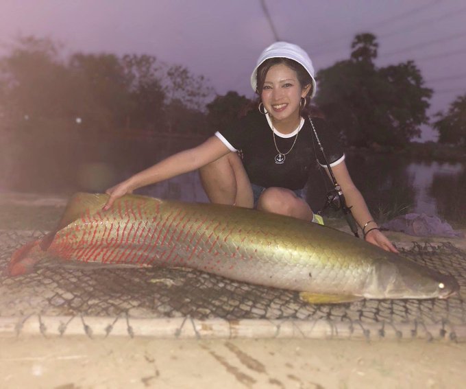 マルコス 釣り名人への道さん がハッシュタグ 怪魚ハンター をつけたツイート一覧 1 Whotwi グラフィカルtwitter分析