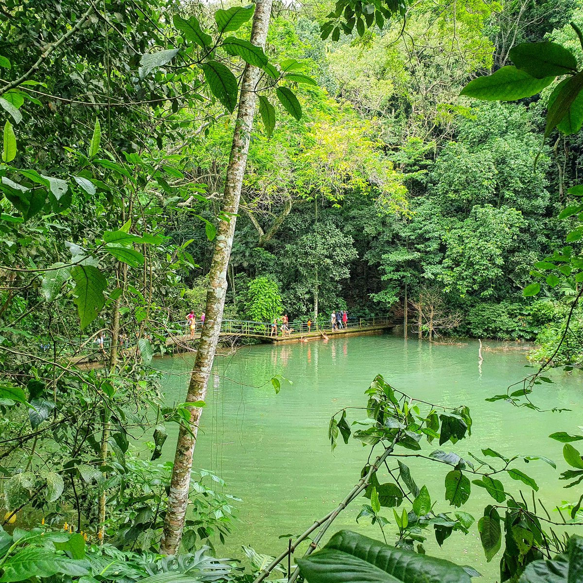 Los médicos recomiendan paseos en bosques y playas para recuperar la fuerza y los sentidos que se pierden cuando has tenido COVID-19. Rio de Janeiro es la ciudad perfecta para eso. Dicho y hecho ❤🌴🇧🇷