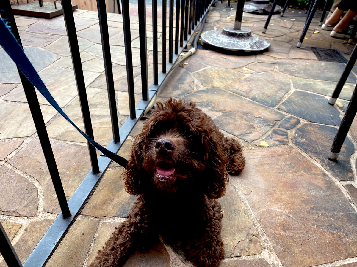 ラボエムでランチしたよ‼️