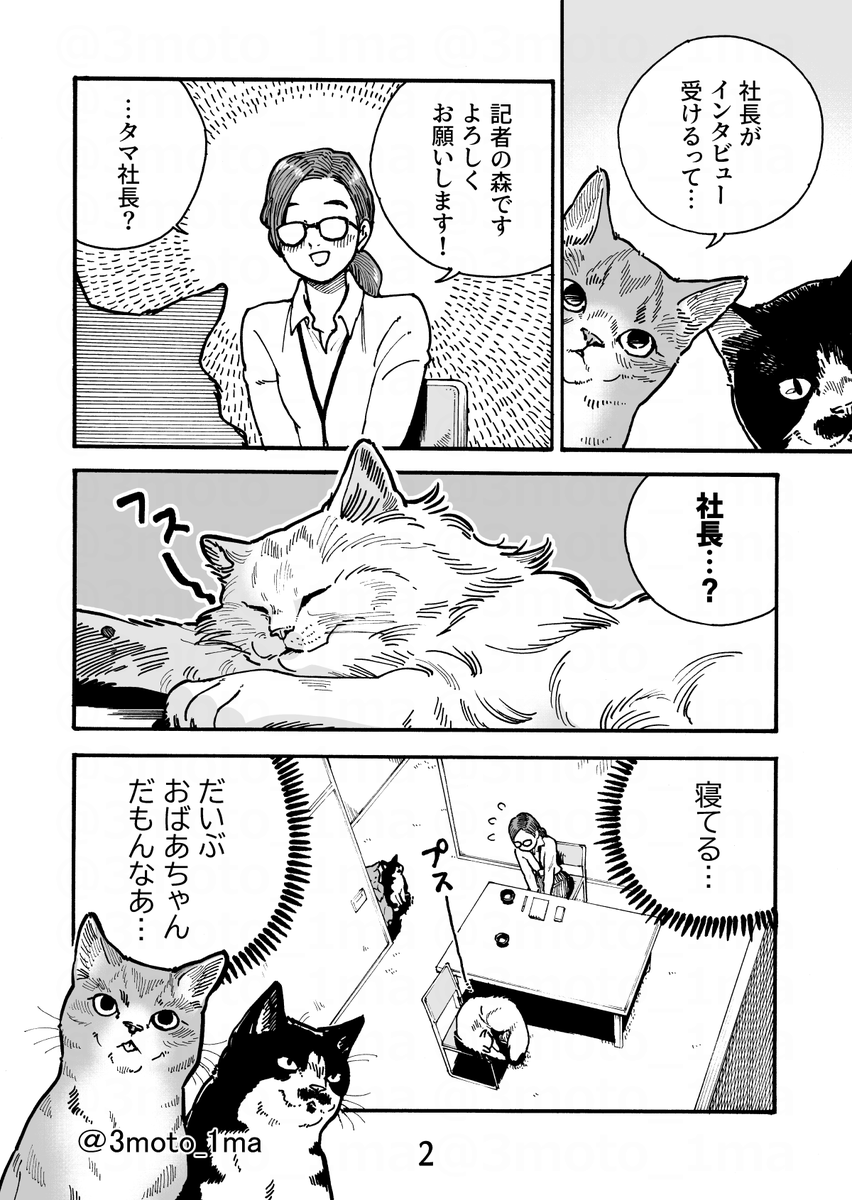 再掲「ねこレンタルサービス」第3話・メディア露出
(1/2) 