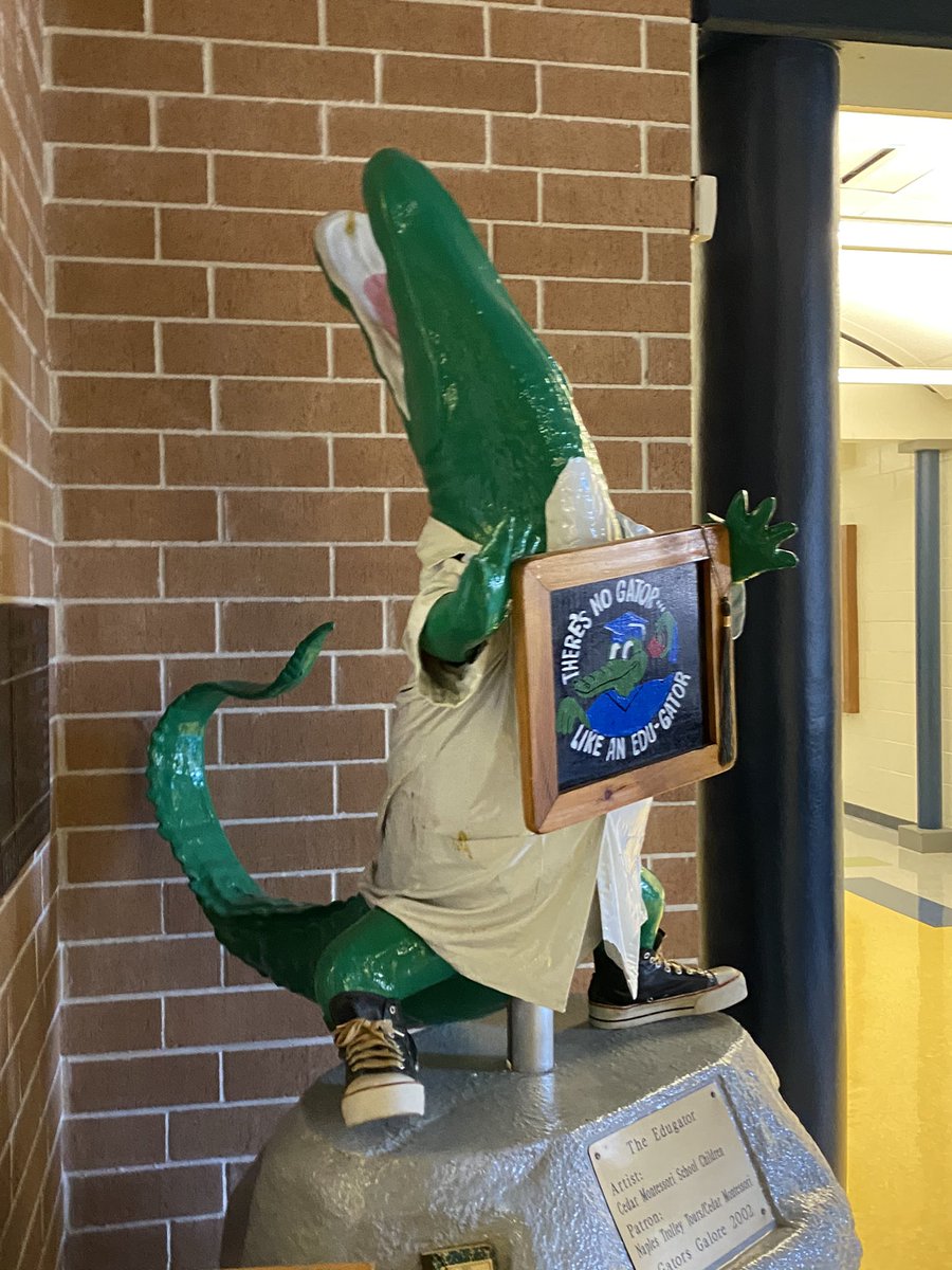 emedia21's tweet photo. Gators 🐊 everywhere!!! @ENMGators https://t.co/p6pDUlDQBF