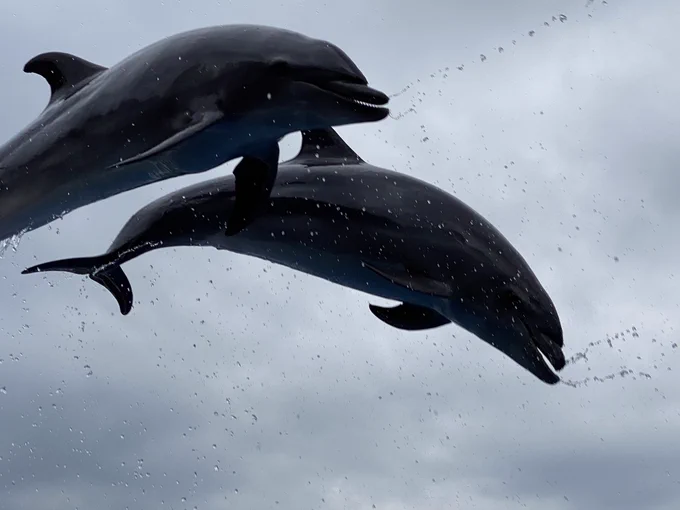 今日は海きらら水族館に来たわよ 