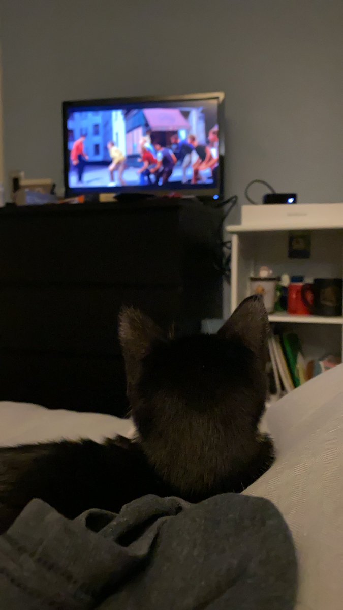 First time watching West Side Story with my cats. Should I live tweet this? Imma do it