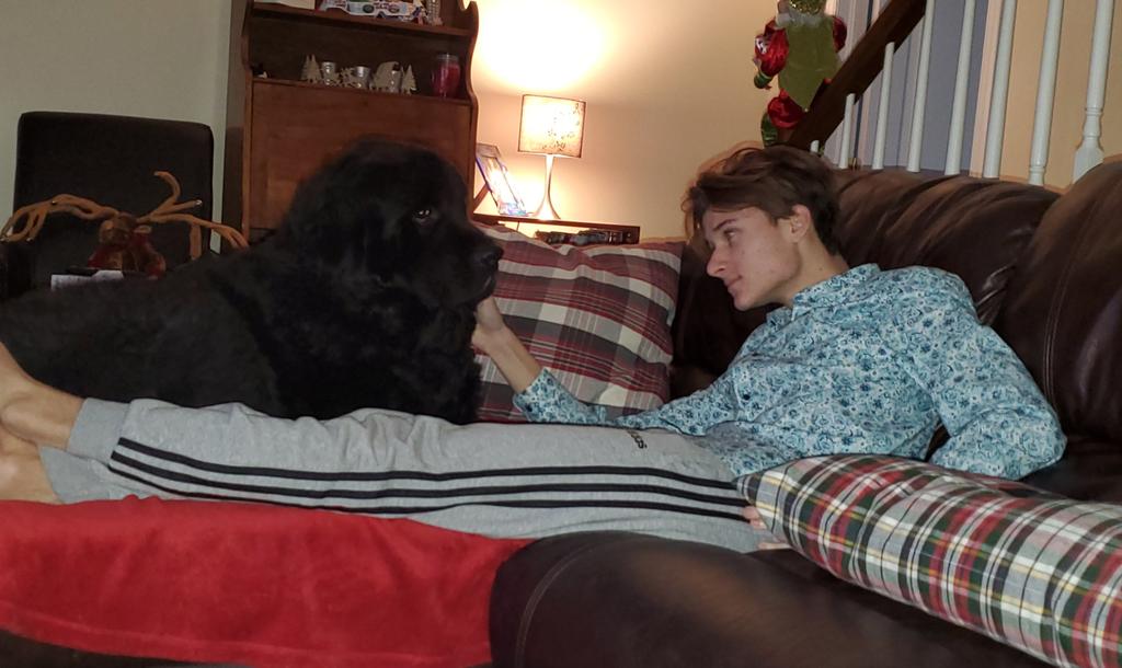 Man's best friend #BigMac #Newfie