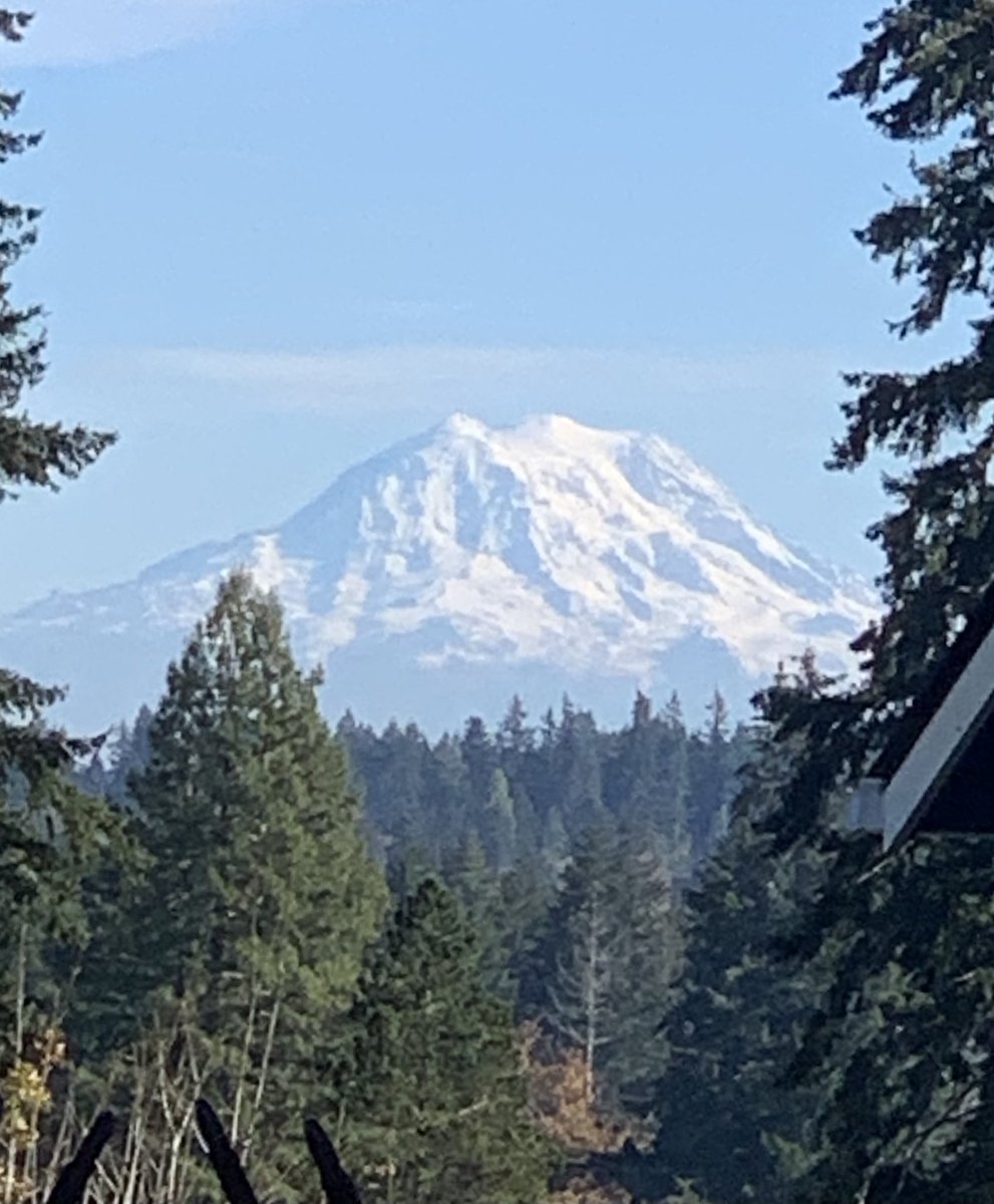 Truth: You are on solid ground. 
Most messages around you want you to believe something other than the truth. 

#grounded #bhu #truth #agilelife #teamzoot2021 #sportea #innerpeace #mindful #mtrainier #focus #selflove #themountainisout