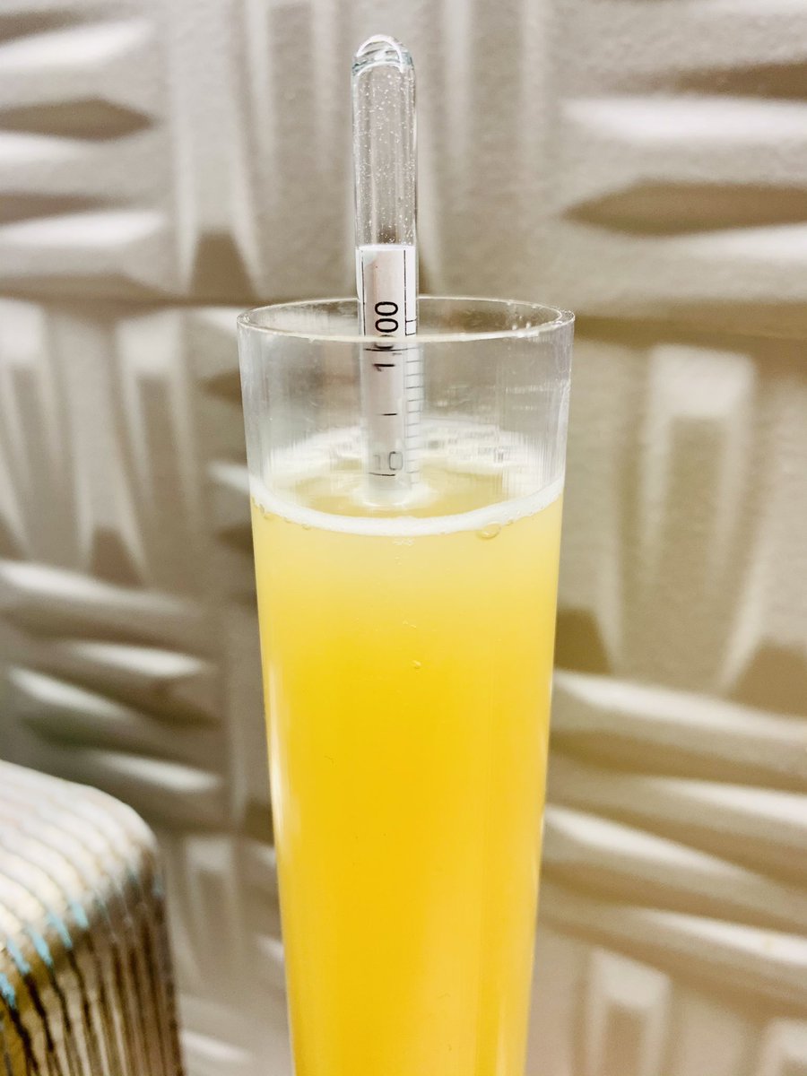 PachaBeer's tweet image. Cocción de campeonato!! Hazy Strong Pale Ale (BA-BSG-2020-GI-E). D.O.: 1052, DF: 1012, SRM: 6. Madurando y esperando la magia del dryhopping!!! 🍻