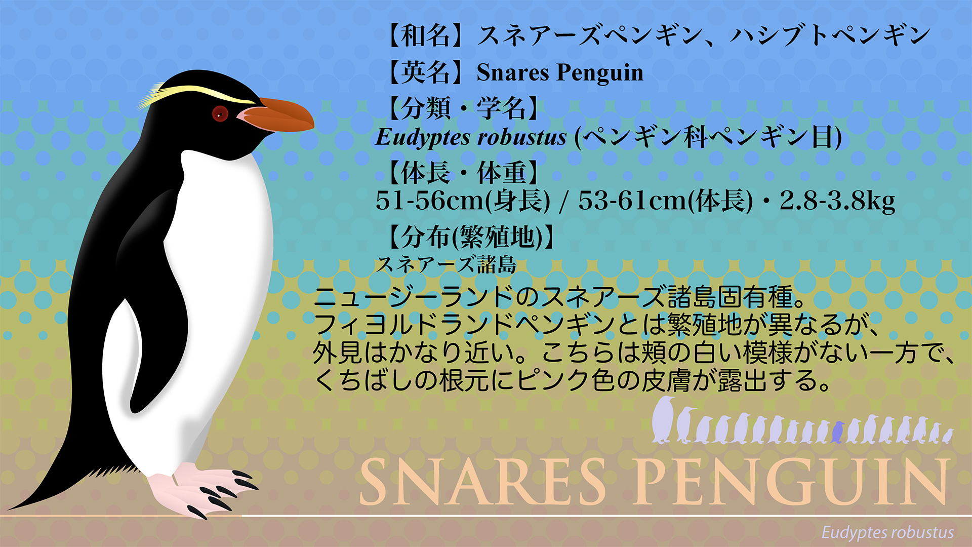 フィヨルドランド Twitter Search Twitter
