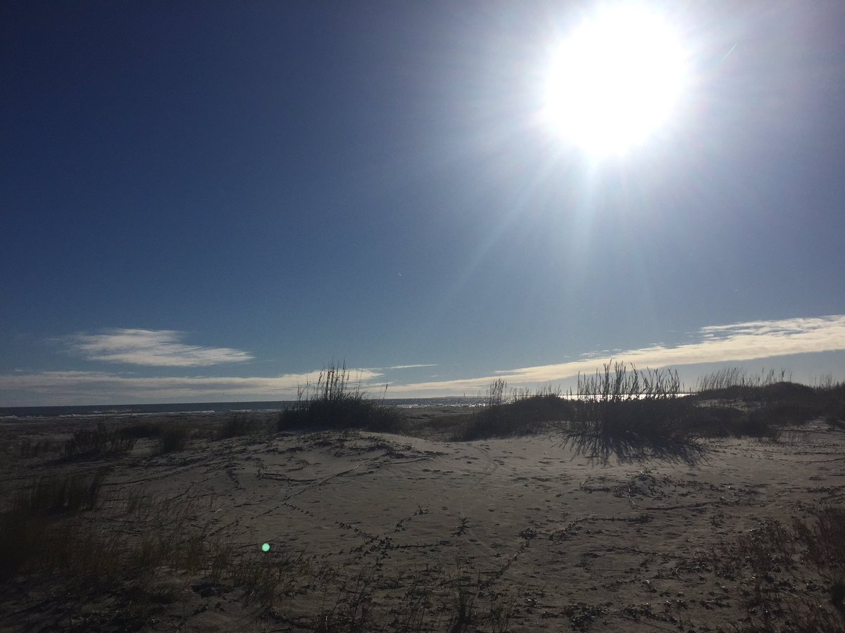 sarafnovak's tweet photo. What a day to hit the pavement or sand for that matter. πββοΈ#sanityrun https://t.co/dpZs5JYkAl