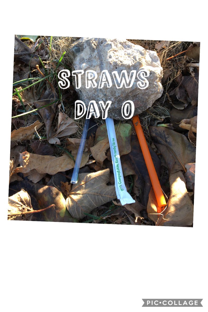 dailystem's tweet photo. @Lkennedy37 @WorldCentric You’re going to have to stay tuned for updates...
#CompostableStraws https://t.co/AobPA3LQAb
