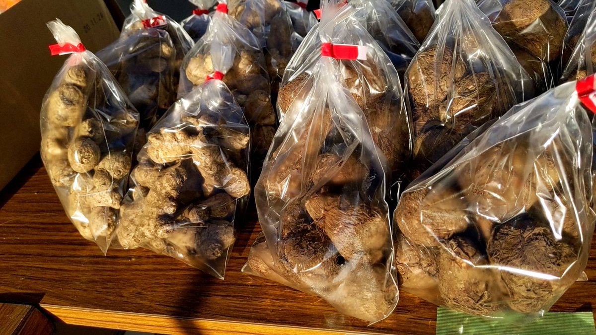 玉ふぁみりィ 本日9時 15時まで 大雄山駅近くの居酒屋 雄美の前で 石焼き芋やってまーす その他に 柿 キウイ 里芋 生姜も売ってます 大雄山 石焼き芋