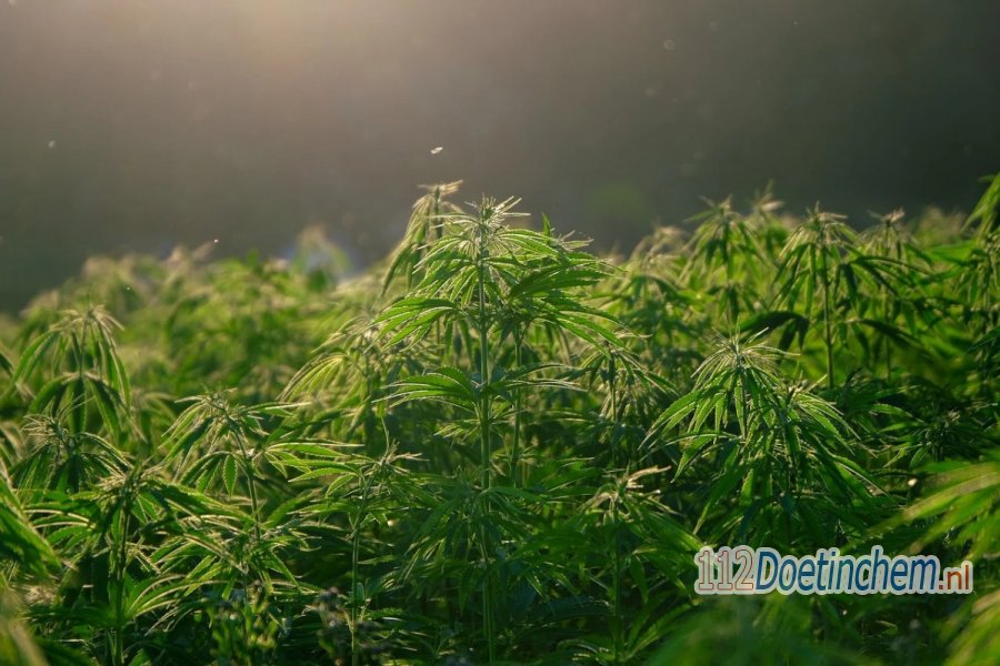 Arrestatieteam ontdekt hennepkwekerij na inval in woning #Doetinchem. 112Doetinchem.