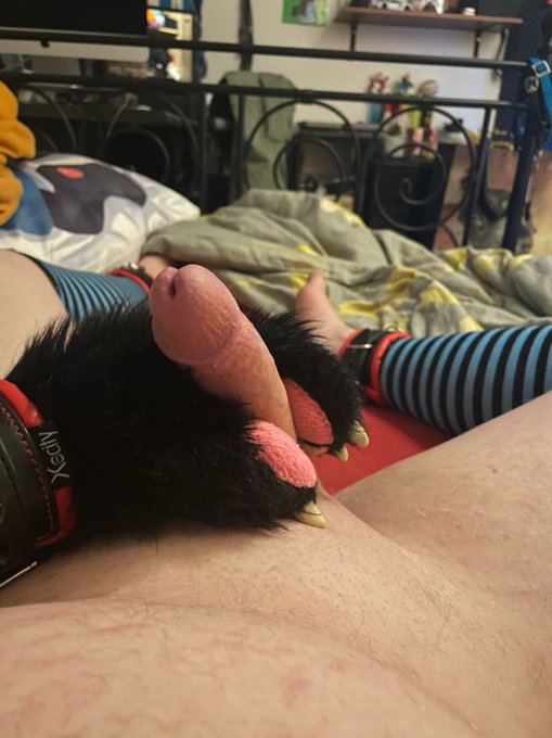 Want to join ? 💕💕 https://t.co/EZwVSMHb5E<a href="/tag/fursuitfriday"class="tags"><span>#fursuitfriday</span></a>